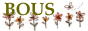 BOUS